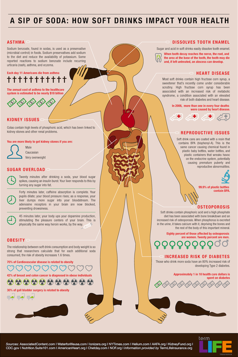 Drinking Soda Destroys Your Body