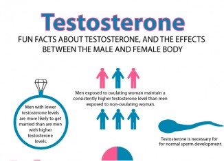 What causes testosterone levels to be low