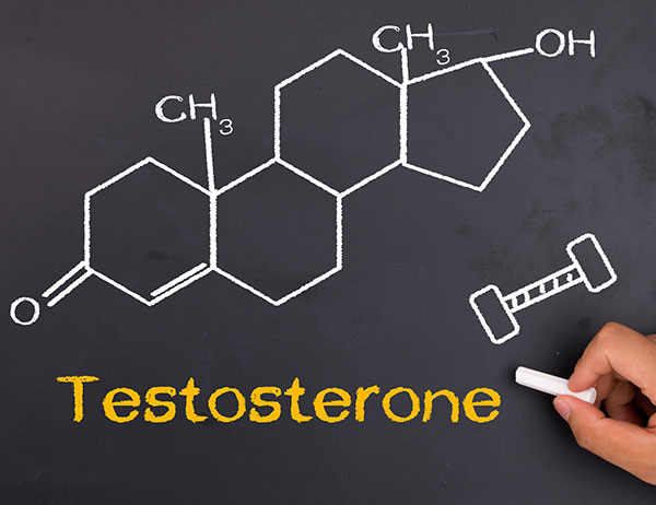 Increase-Your-Free-Testosterone