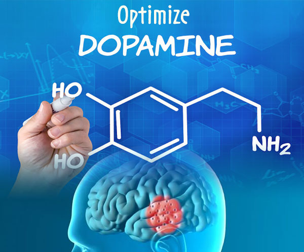 Optimizer-Dopamine