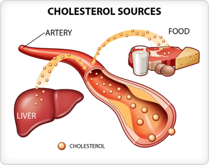 cholesterol_source
