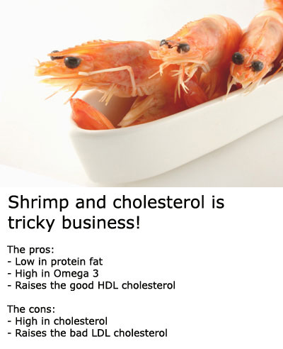 shrimp-cholesterol-pros-cons
