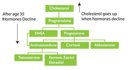 aging-hormones-genetics-high-cholesterol