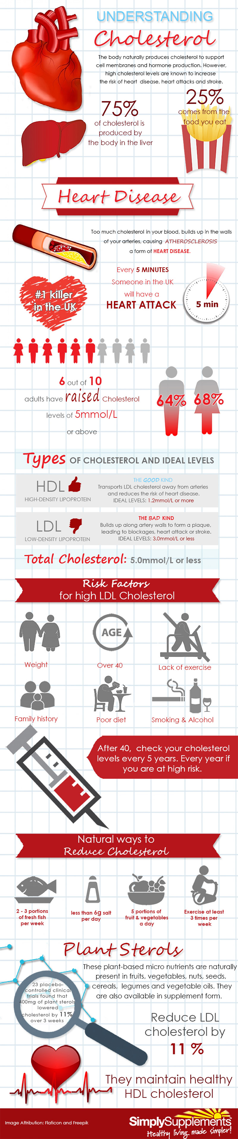 cholesterol-factors