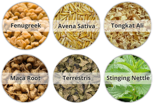 What herbs boost testosterone