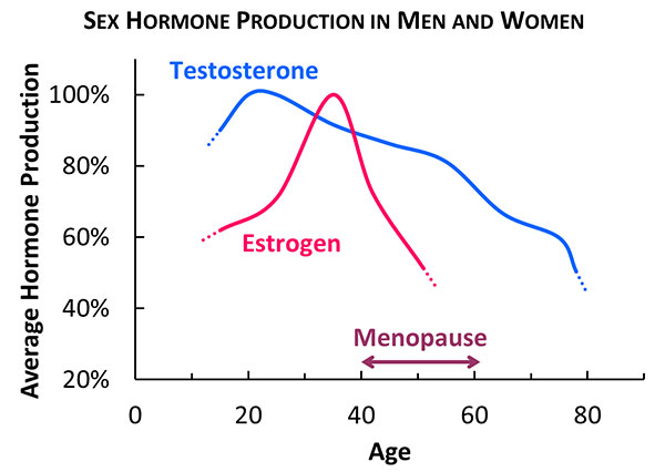 sex-harmone-production-in-men-and-women