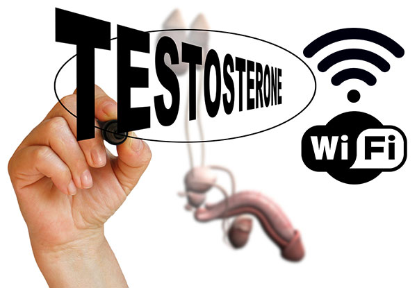 wifi causes lower testosterone