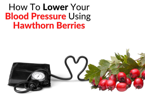 How To Lower Your Blood Pressure Using Hawthorn Berries