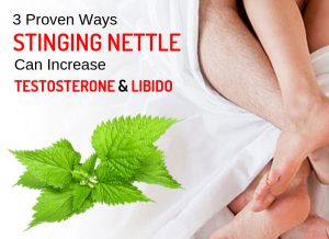 3 Proven Ways Stinging Nettle Can Increase Your Testosterone & Libido