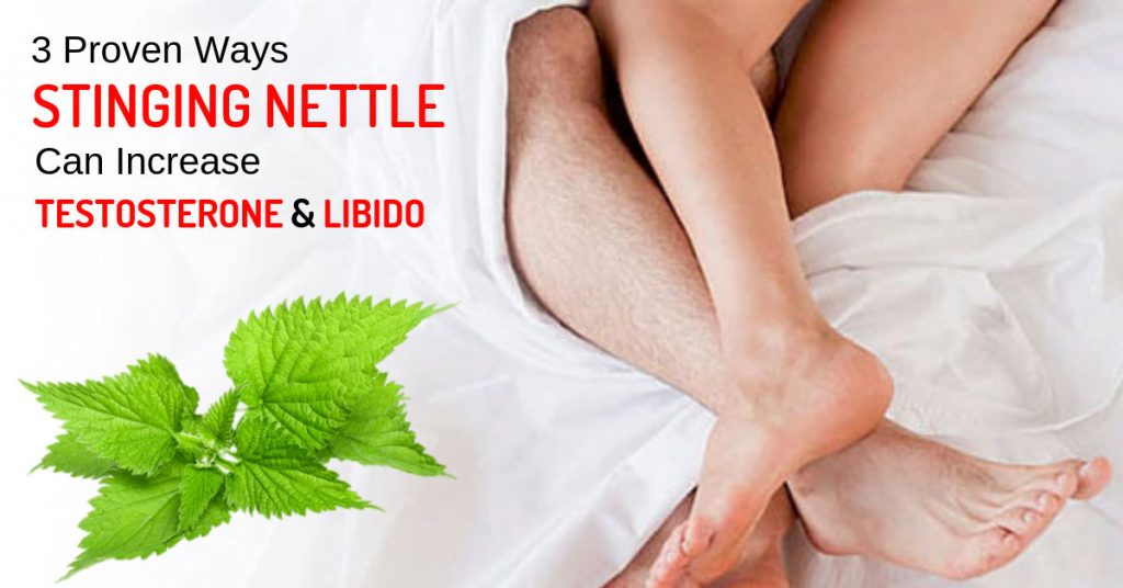 3 Proven Ways Stinging Nettle Can Increase Your Testosterone And Libido