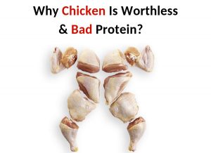 Why Chicken Is Worthless & Bad Protein