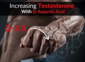 Increasing Testosterone With D-Aspartic Acid - Research Reveals Truth