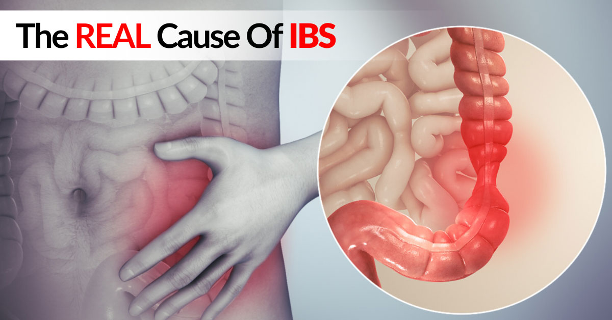 new research on ibs