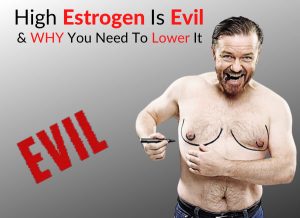 High Estrogen Is Evil - WHY You Need To Lower It (Part 1)