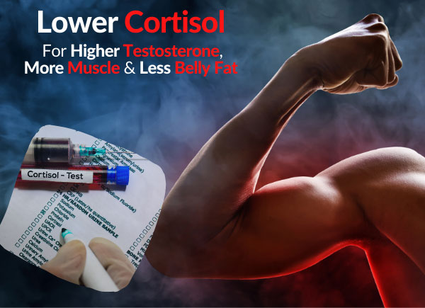 Lower Cortisol For Higher Testosterone, More Muscle & Less Belly Fat