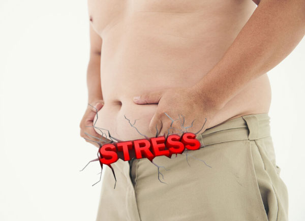 belly fat stress
