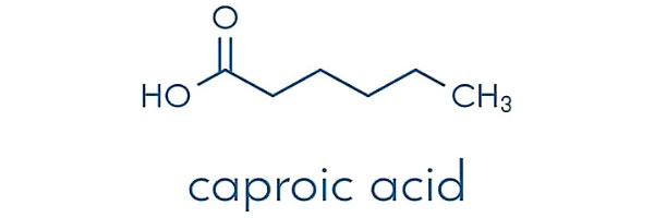 caproic acid