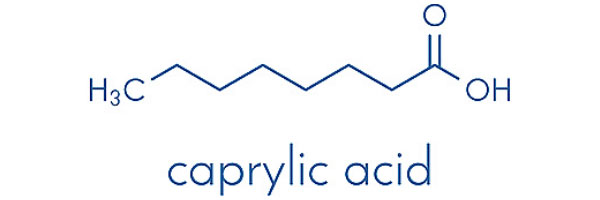  caprylic acid