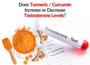 Does Turmeric / Curcumin Increase or Decrease Testosterone Levels?