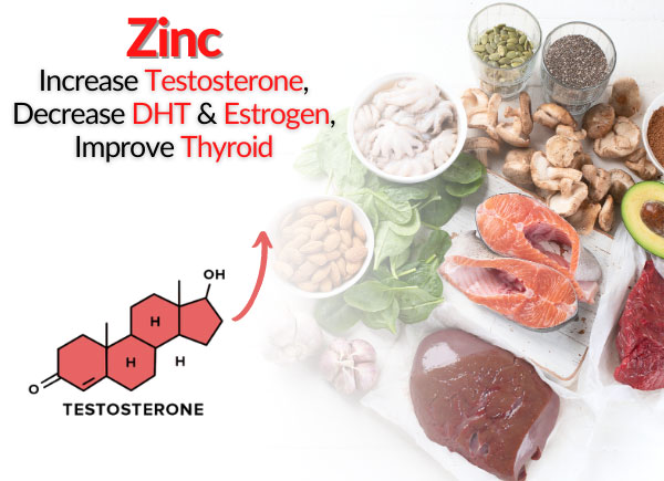 Zinc - Increase Testosterone, Decrease DHT & Estrogen, Improve Thyroid