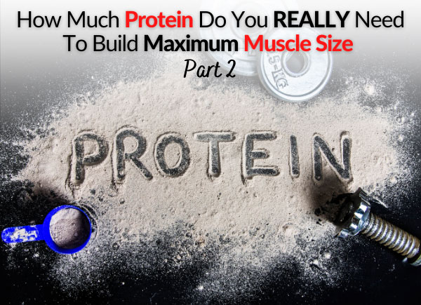 How Much Protein Do You REALLY Need To Build Maximum Muscle Size - Part 2 FB