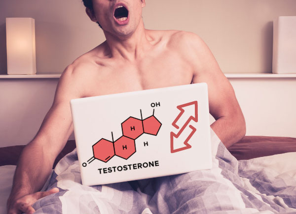 porn testosterone
