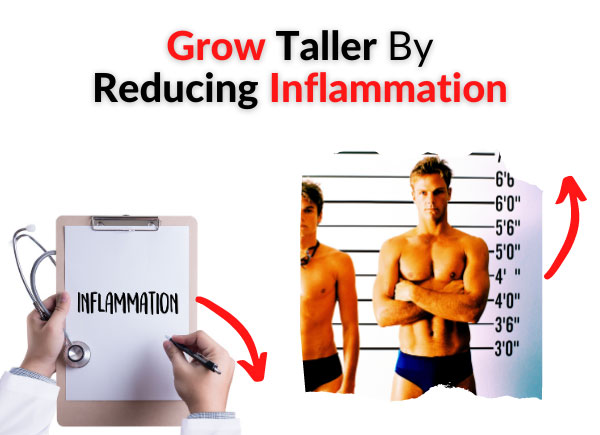 Grow Taller By Reducing Inflammation