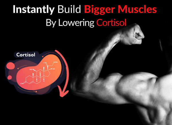 Instantly Build Bigger Muscles By Lowering Cortisol