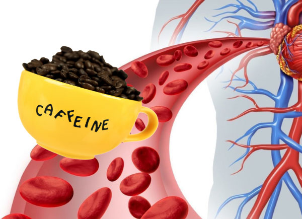 caffeine and blood flow
