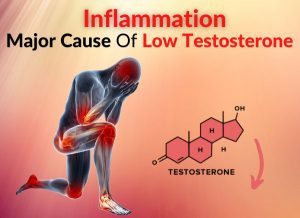 Inflammation - Major Cause Of Low Testosterone [Clinical Study]