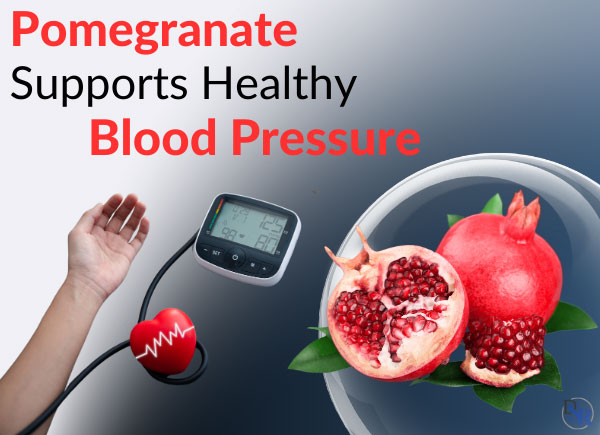 Pomegranate Supports Healthy Blood Pressure