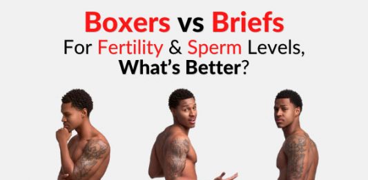 Boxers vs Briefs - For Fertility, Testosterone & Sperm Levels, What’s Better?