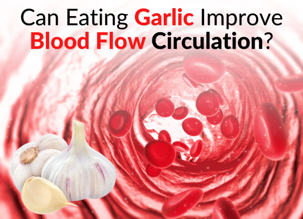 Can Eating Garlic Improve Blood Flow Circulation?