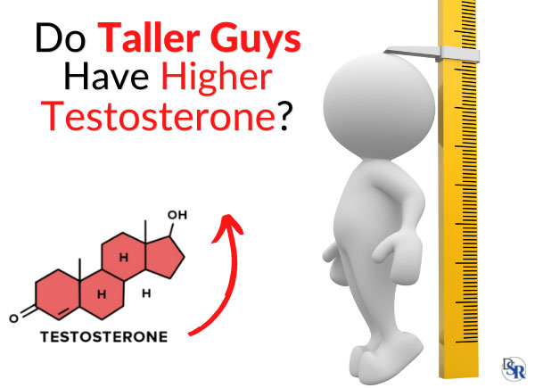 Do Taller Guys Have Higher Testosterone?