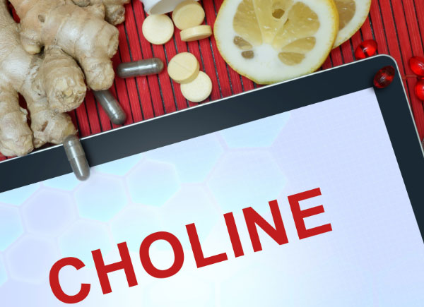 choline - best nutrient for memory