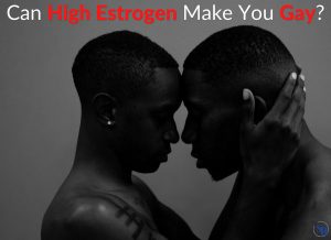 Can High Estrogen Make You Gay (Homosexual)?