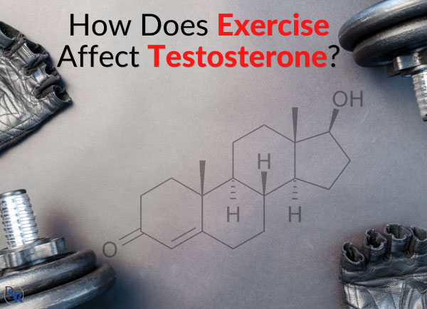 How Does Exercise Affect Testosterone?