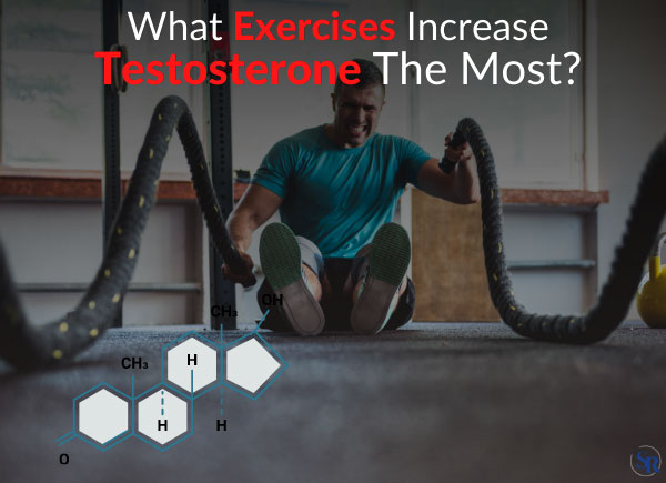 What Exercises Increase Testosterone The Most