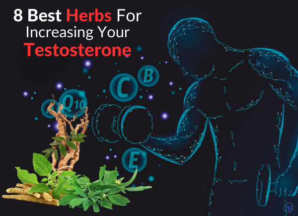 🌿 8 Best Herbs For Increasing Your Testosterone