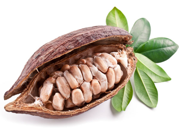 Cocoa Flavanols