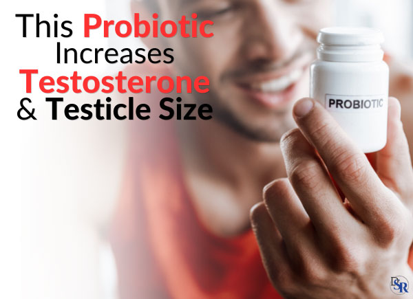 This Probiotic Increases Testosterone & Testicle Size