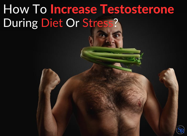 How To Increase Testosterone During Diet Or Stress?